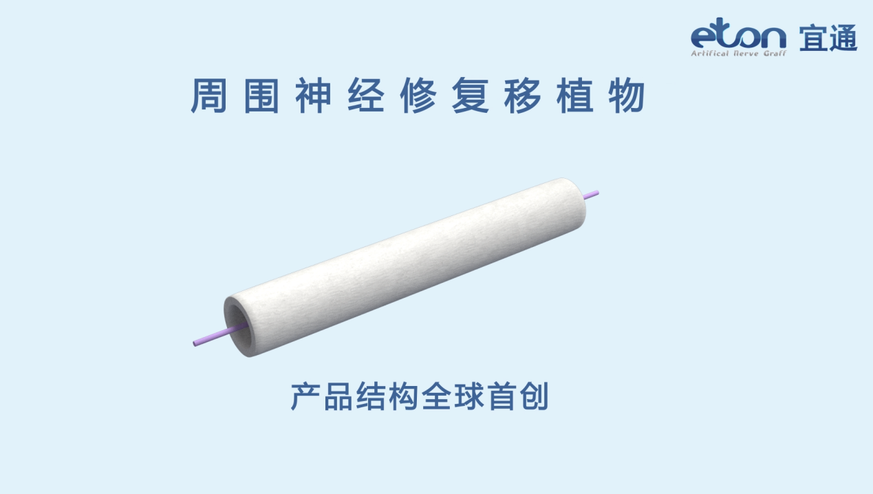 周圍神經(jīng)修復(fù)移植物產(chǎn)業(yè)化項目
